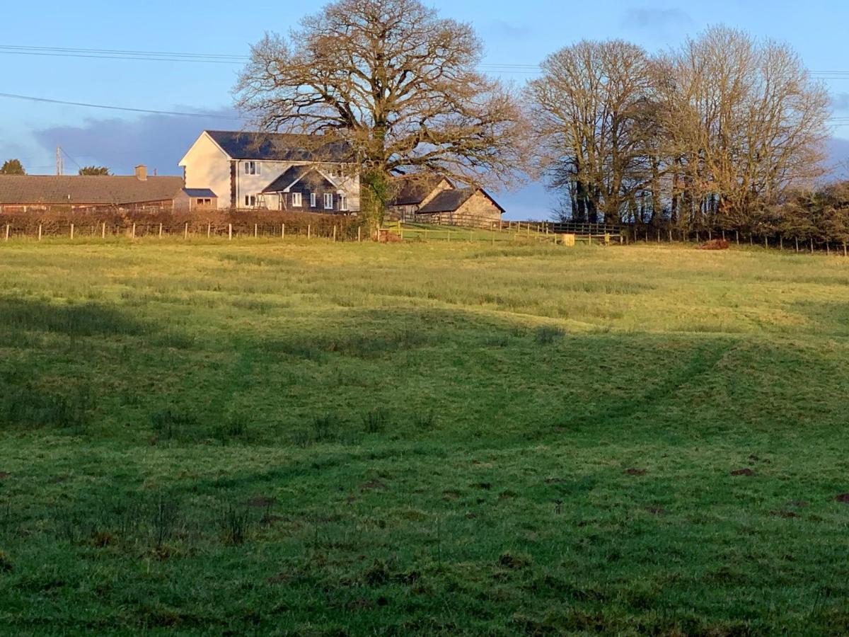 Maen Llwyd Villa Llanyre Exterior photo